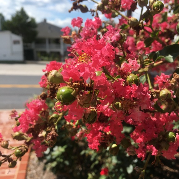 Hello everyone, - Picture 1 of 1